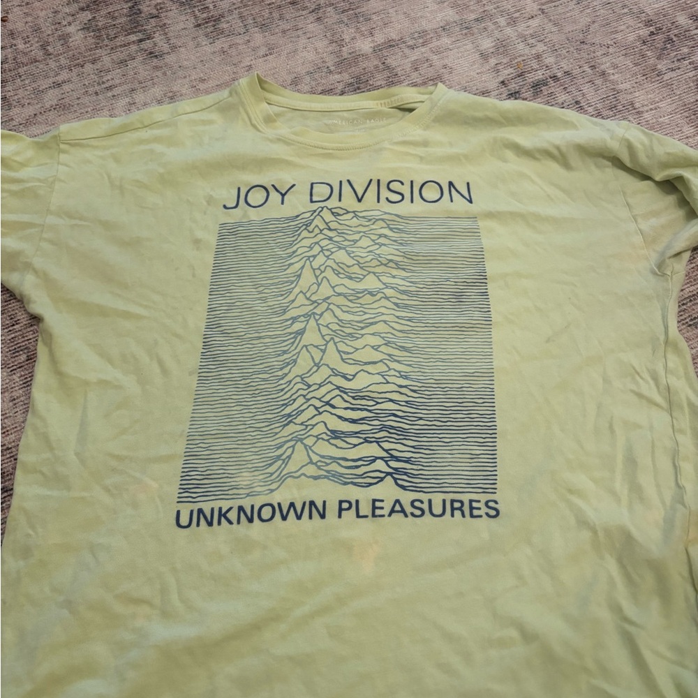 American Eagle Outfitters Joy Division Tee - Light Green